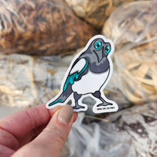 Load image into Gallery viewer, Mystified Magpie | Vinyl Sticker